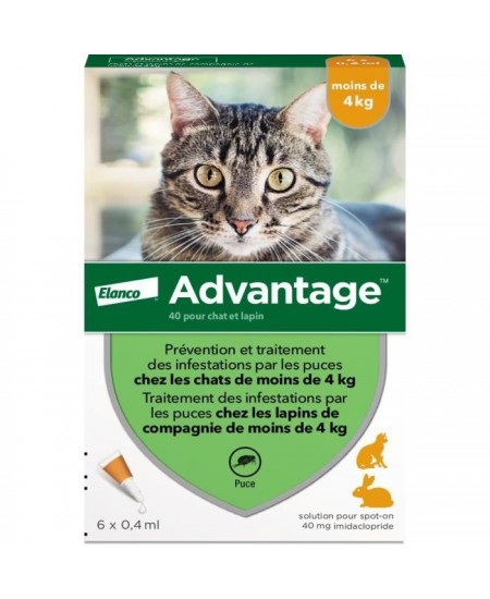 Advantage Solution Antipuce Chat Lapin 1 a 4kg 6 pipettes