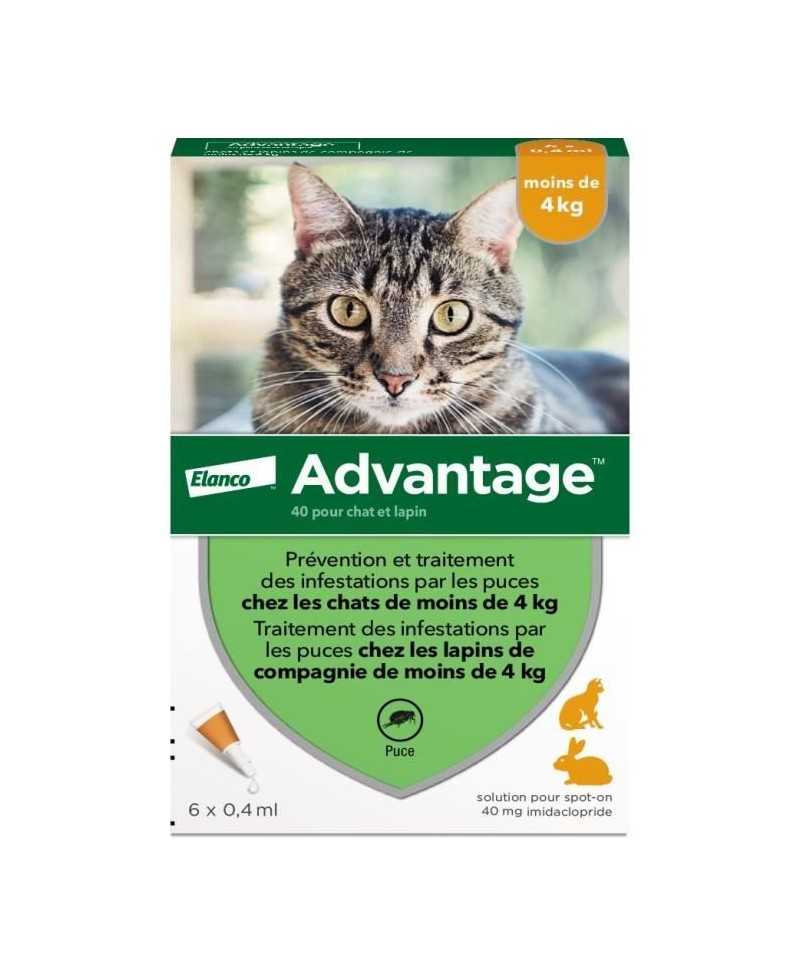 Advantage Solution Antipuce Chat Lapin 1 a 4kg 6 pipettes