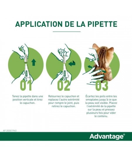 Advantage Solution Antipuce Chat Lapin 1 a 4kg 6 pipettes