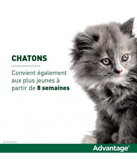 Advantage Solution Antipuce Chat Lapin 1 a 4kg 6 pipettes