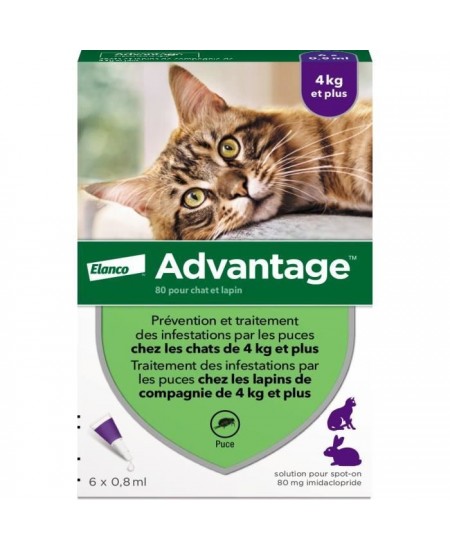 ADVANTAGE Solution Antipuce Chat Lapin +4kg 6 pipettes