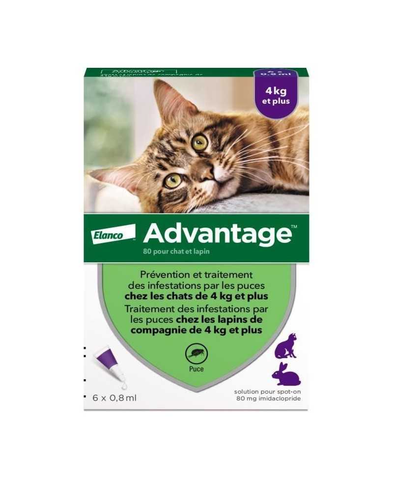 ADVANTAGE Solution Antipuce Chat Lapin +4kg 6 pipettes