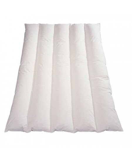 BLANREVE Couette légere en microfibre - 200 x 200 cm - Blanc