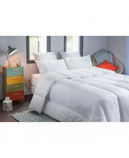 BLANREVE Couette tres chaude Percale - Anti-acariens - 420g/m² - 220x240cm