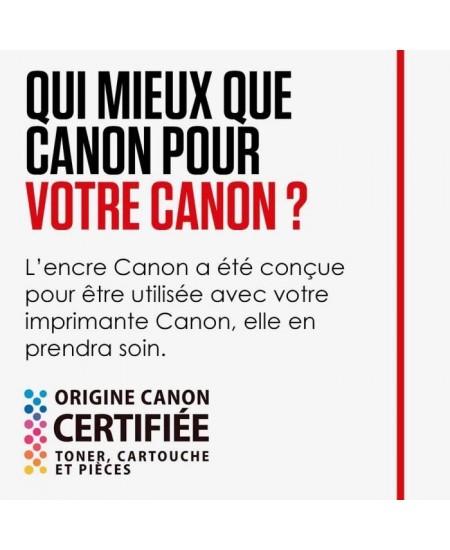 CANON Cartouche d'encre PG-560 XL grande capacité Noir (PG560XL)