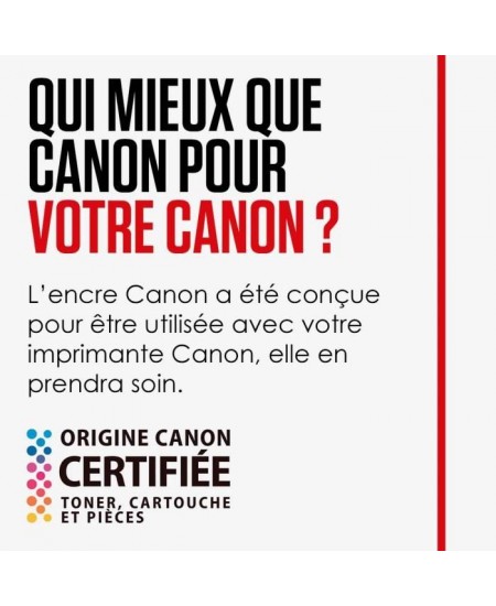 Canon Cartouche d'encre CL-541 XL grande capacité Couleur, emballage carton (CL541XL)