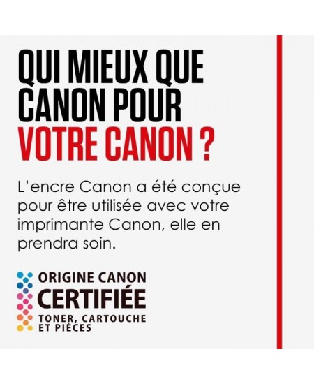 CANON Cartouche d'encre PG-545 XL grande capacité Noir (PG545XL)