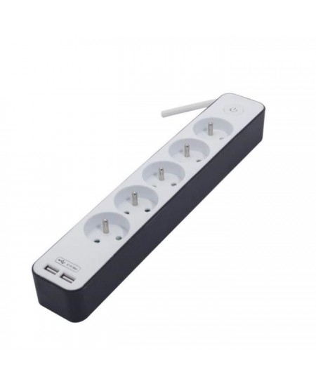 CHACON Bloc multiprise 5 prises 16 A avec 2 ports USB et câble 1,5 m HO5VV-F 3x1,5 mm² blanc et gris