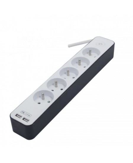 CHACON Bloc multiprise 5 prises 16 A avec 2 ports USB et câble 1,5 m HO5VV-F 3x1,5 mm² blanc et gris