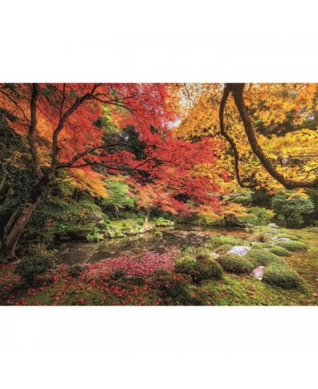 Clementoni - Puzzle paysage et nature - Autumn Park - 1500 pieces - Dimensions 59,2 x 84,3 cm - Fabriqué en Italie