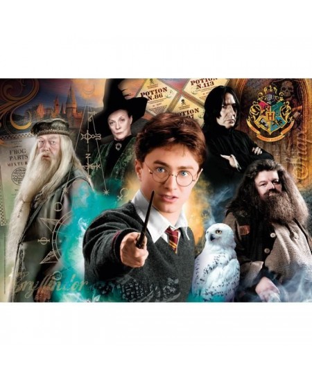 Puzzle - Clementoni - Harry Potter - 500 pieces - A partir de 12 ans