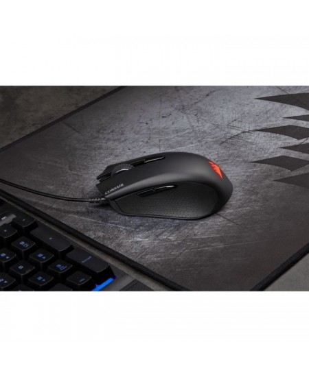 CORSAIR Souris Gamer Optique HARPOON RGB PRO FPS/MOBA - Rétroéclairé Backlit RGB LED - 12000 DPI - Noir (CH-9301111-EU)